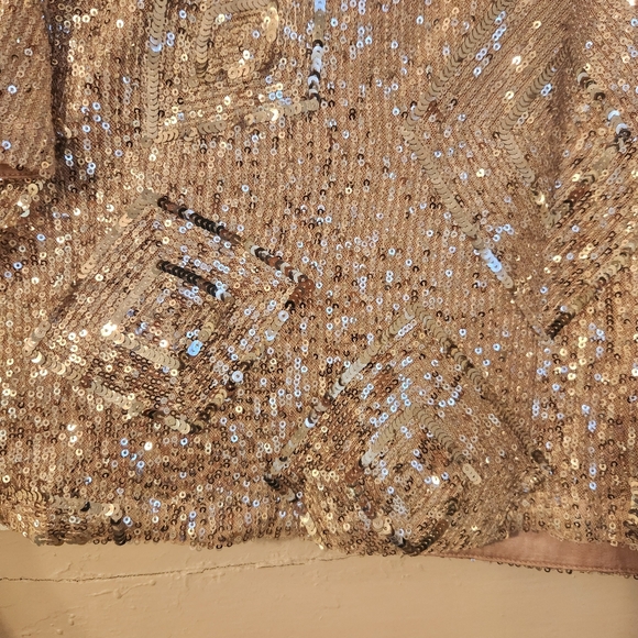 Skies Are Blue Top, Silver Sequined Cropped, Sz Small EUC Party, Cocktail, Club - Picture 7 of 14